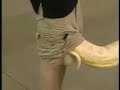 Gay snake slithers into reporter\