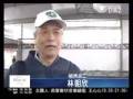20081128 守護四川工程品質 慈濟營建志工發心投入