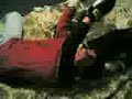 Volino mafija