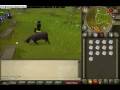 Xpker reece