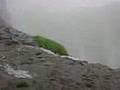 Maharashtra
