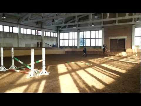 horses grand national