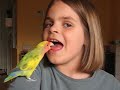 Paco 2