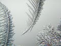 Frost & Maron - Mute your mind Frost & Maron - Mute your mind