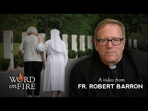 Fr. Barron comments on Anti-Catholic Prejudice