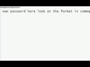 Password Stealer