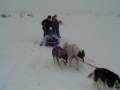 videos de 077