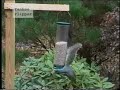 i used to work at a garden shop... this is a promotional video sent to us by some company that makes birdfeeders that are supposedly squirrel-proof... don't know if the prodtuct is any good, but the ad is hilarious.