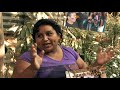 Testimonial Dolar Por Sonrisa Resk-t 3.16