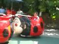 Ladybug Ride