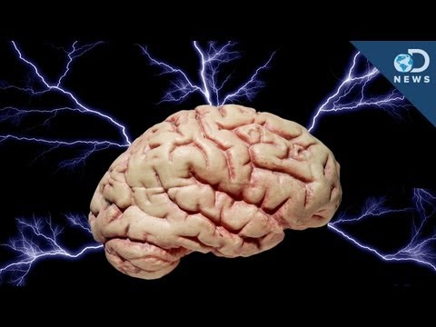 Brain in a Lab Controls a Power Plant