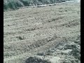 front flip ROCCO