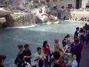 FONTANA DI TREVI @ ROMA FONTANA DI TREVI @ ROMA