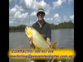 DE PESCA tv Programa 42 DE PESCA tv Programa 42