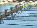 Swimming Champion 2008