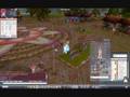 videos de daman