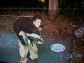 Modified tko