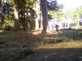 Moi avc ma dart !!