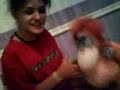 video de ouf [2]