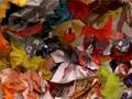CNN - Making a Tiger from Trash part 2