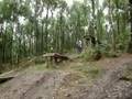 grosse chutte [ filthy trails ]