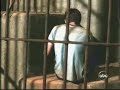 Lost - Season 3 Sneak Peek