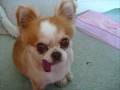 videos de Goodbye Wiwi.wmv