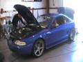 Chuck Hamstra 1998 Mustang Cobra King of the Street 2008 Dyno Run