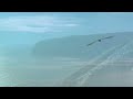 Cape St Marys Ecological Reserve Newfoundland and Labrador Tourism