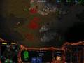 Starcraft...