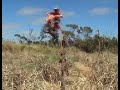 KTM time off on the farm