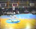 Naito Sensei & Bianchi: Fighting Strategies