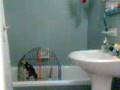 Baño Sanguinetti
