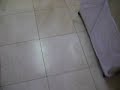 MOV01354Before.AVI