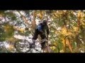 NWD 8 Trailer Release