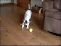 Teddy Fussballstar