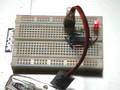 Electronic-craft Jack #8 MSP430 breadboard