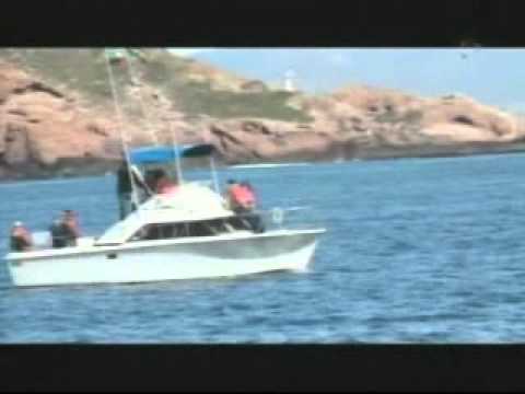 descubrebajacal - Nota del periodista Jorge Nieto para