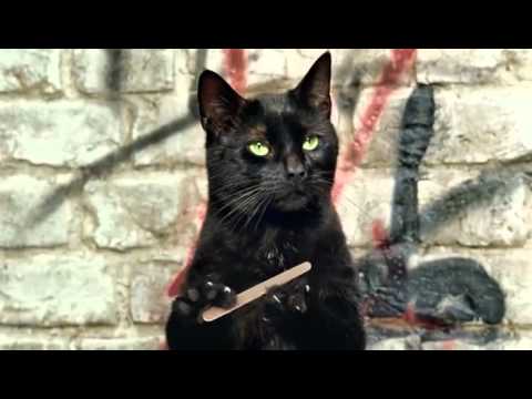 Anuncio Cravendale, Cats with thumbs 0 Anuncio Cravendale, Cats with thumbs
