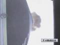 SpaceX Falcon 1 DemoFlight 2 Launch