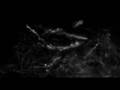 Re: Pier Bucci - l'nuit - with audio in sync!