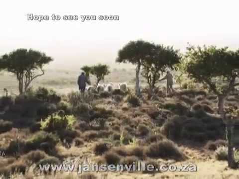 Jansenville Land of the Noors Home of the Angora