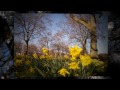 First impressions captured on a sunny day in March 2011.