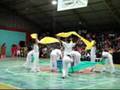 Festival de Dança