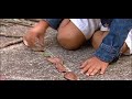 Reunenos Aqui (Alabastro)
