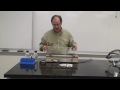 Chlorophyll Demonstration