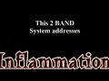 Advita Energy Pre Order Weightloss Bands Advita Energy Pre Order Weightloss Bands