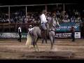 Caballo Trotador web