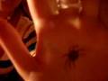 videos de Spider