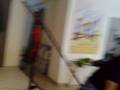 Ver Video